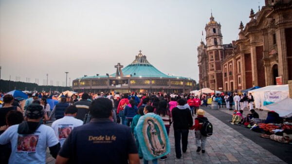 Fiestas Guadalupanas